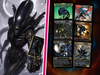 | New |Xenomoth Alien Commander Deck – 113+ Cards | PrimeDecks